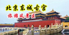 一级黄逼逼视频中国北京-东城古宫旅游风景区